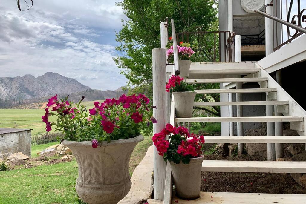 Mount Rose Cottage George Bagian luar foto